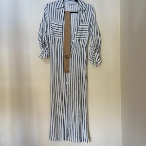 Striped Blue and White Button-Front Shirt Dress by Zara